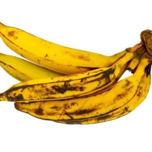 Bibit Pohon Pisang Tanduk / Buah Pisang Tanduk UNGGULAN SEGAR ATV