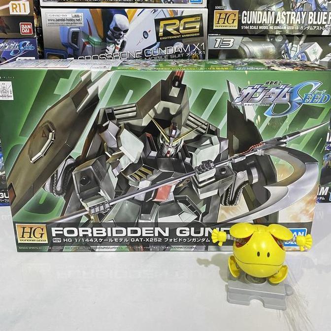 HG SEED 1/144 R09 Forbidden Gundam