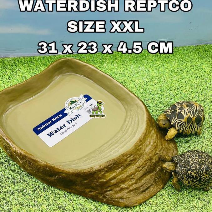 WATERDISH REPTCO SIZE XXL JUMBO TEMPAT MINUM KURA DARAT SULCATA ALDABRA ISTAR SALVA SKINK PANANA