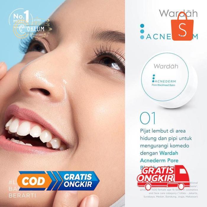 re-65 WARDAH Acnederm Series Indonesia / Facial Wash Face Scrub Micellar Water Essence Toner Mist Se