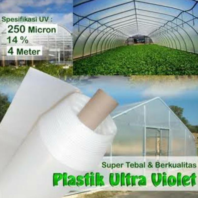 PLASTIK UV GREENHOUSE2LAYER TEBAL 200MICRON UV 14% LEBAR 4M JUAL PERMETER