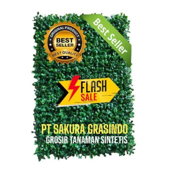 Promo TANAMAN SINTETIS RAMBAT - DAUN SINTETIS DOLAR - TANAMAN DOLAR SINTETIS COD
