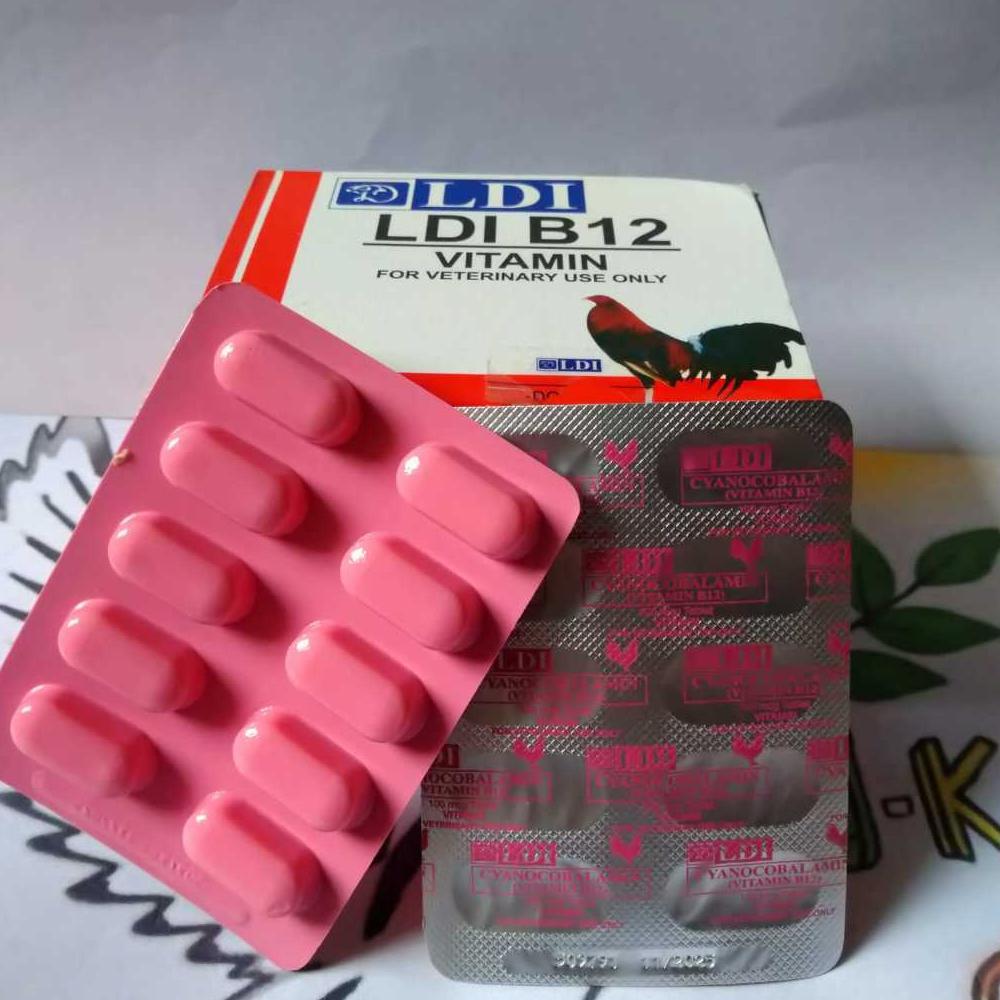 Ldi B12 Vitamin Suplemen B12 Ayam Laga