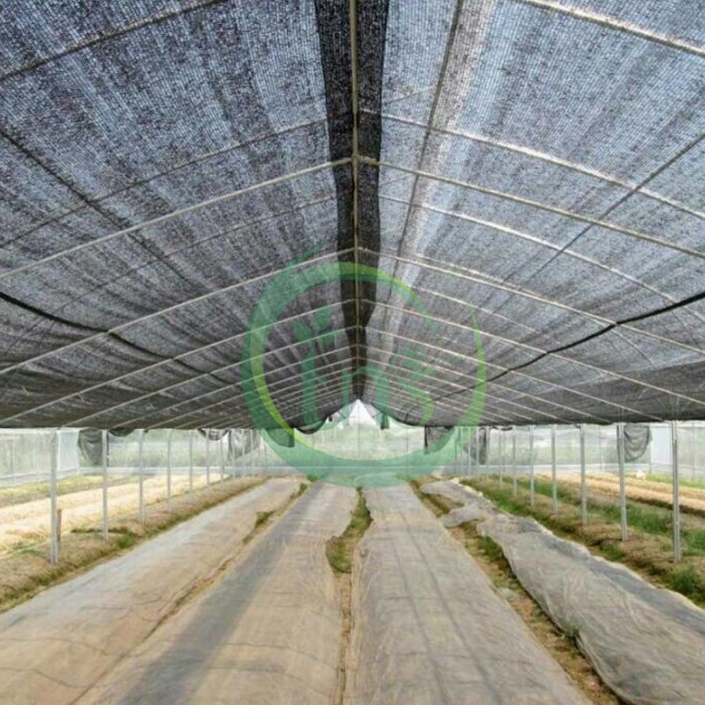 Bisa Cod Paranet Tanaman 65% 3M X 1M Jaring Anti Panas Untuk Pertanian & Perkebunan ><