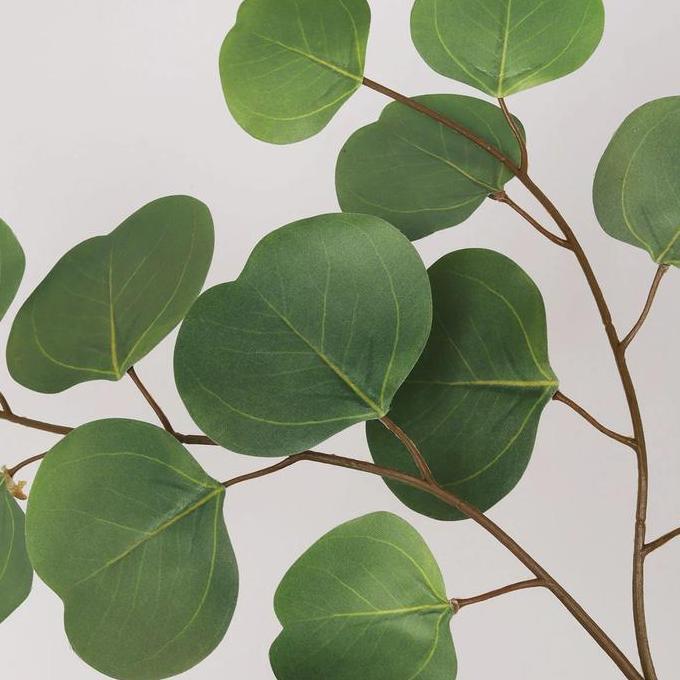 VINOTI LIVING Eucalyptus - Green