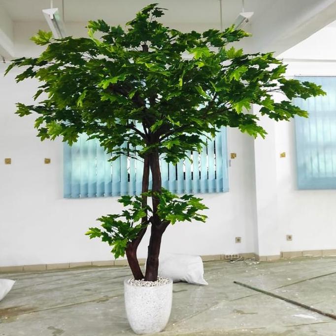 Promo Pohon Maple Hijau Artificial// Pohon Maple Hijau Tinggi 3 meter// pohon maple hijau sudah deng