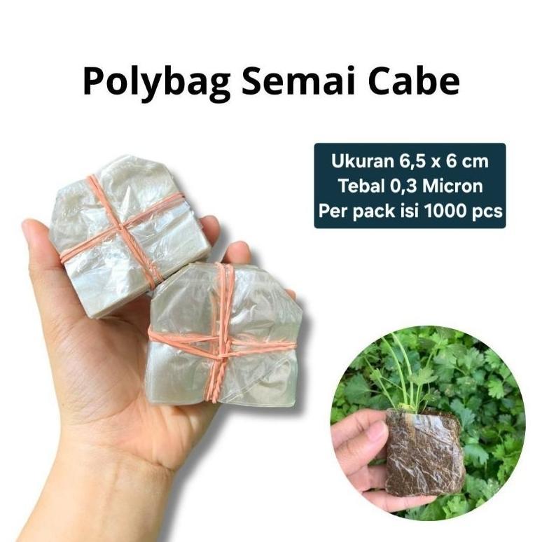 Bisa Cod Plastik Polybag / Polibeg Semai Cabai / Cabe Dan Sayur Isi 1000 Lembar Media ,,