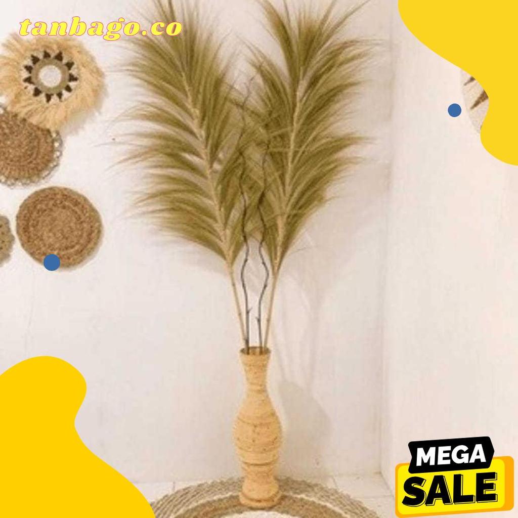 Cod Home Decor Rayung Kering / Rayung Panjang / Rayung Natural / Rayung Rustic / Dekorasi Rayung