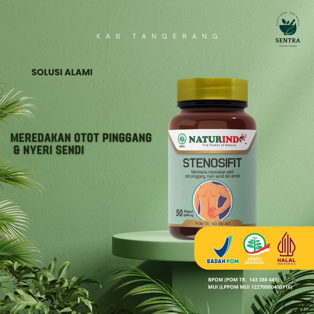 STENOSIFIT NATURINDO Herbal Alami Mengatasi Sakit Pinggang Sampai Kaki Sakit Bokong Saraf Kejepit Sc