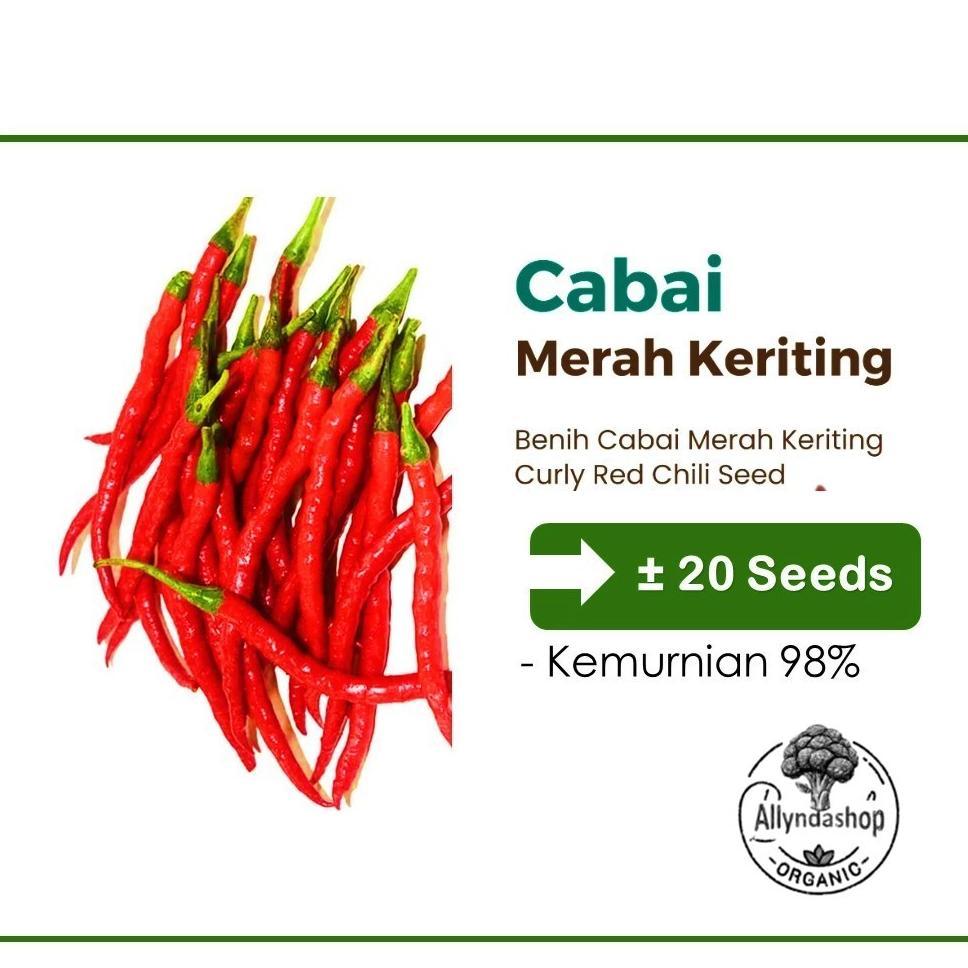 Bisa Cod Ya Kak Benih Cabe Rawit Unggul Dan Varietas Lainnya ,,