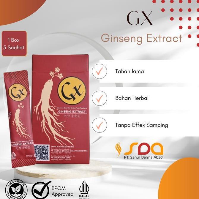 Gx Minuman Ginseng Extract Rasa Raspberry Penambah Stamina - Paket 3 Box Kualitas Terbaik Harga Term
