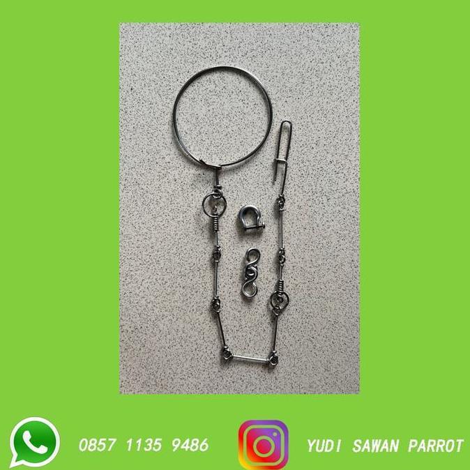 R06 Rantai Rante Burung Kakatua Afgrey Jambul Kuning Galah Severe