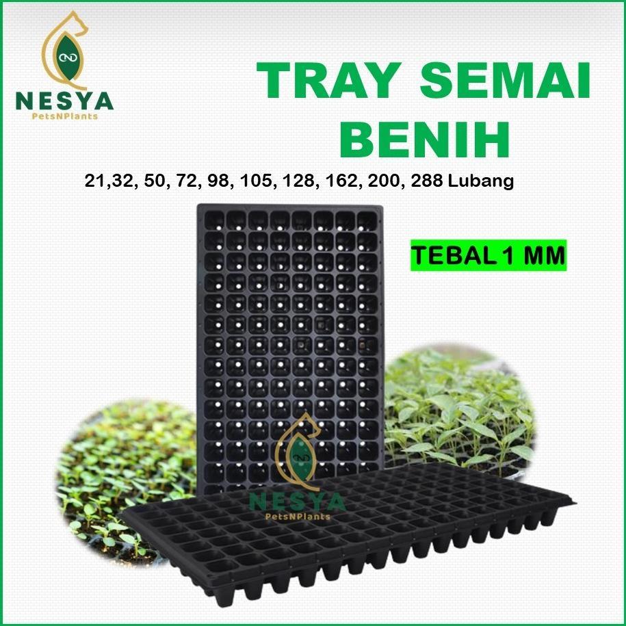 Promo Cod Tray Trai Semai Pot Tray 4 32 50 72 98 105 128 162 200 288 Lubang - Tray Semai 