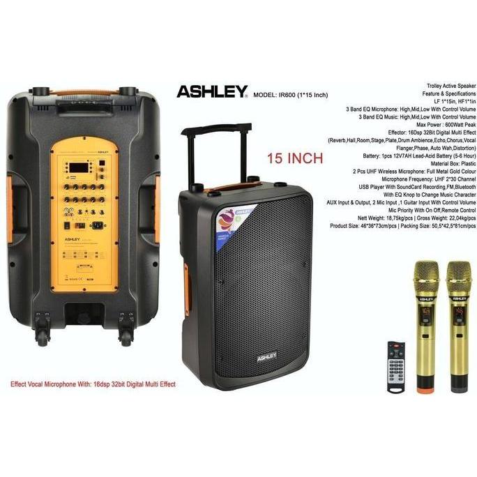 speaker portable ashley ir600 ir 600 15 inch