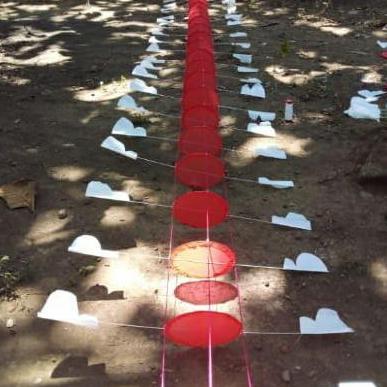 New- Badan Layangan Naga