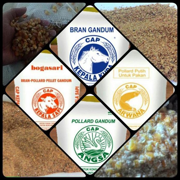 Ready stock Pollard Gandum Bogasari Cap Angsa Kuda Sapi Arwana Wheat Bran