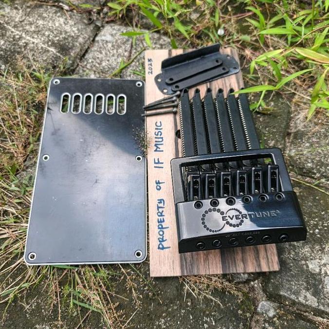 Bridge Gitar Evertune F Model 6 String Black