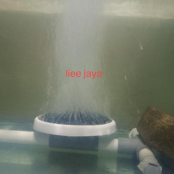 fine bubble diffuser