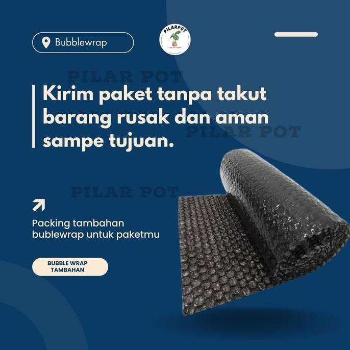 Benih Bibit Daun Bawang Fragrant Known You Seed - KYS DAUN BAWANG FRAGRANT