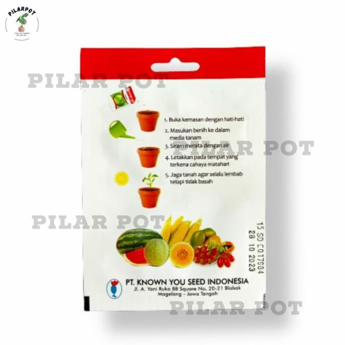Benih Bibit Paprika F1 Merah Red Star Known You Seed - KYS PAPRIKA F1 RED STAR
