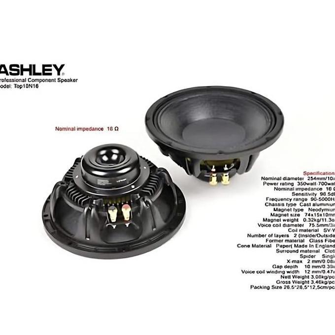 Terlaris Speaker 10 Inch Neodium Ashley Top 10 Neo Original