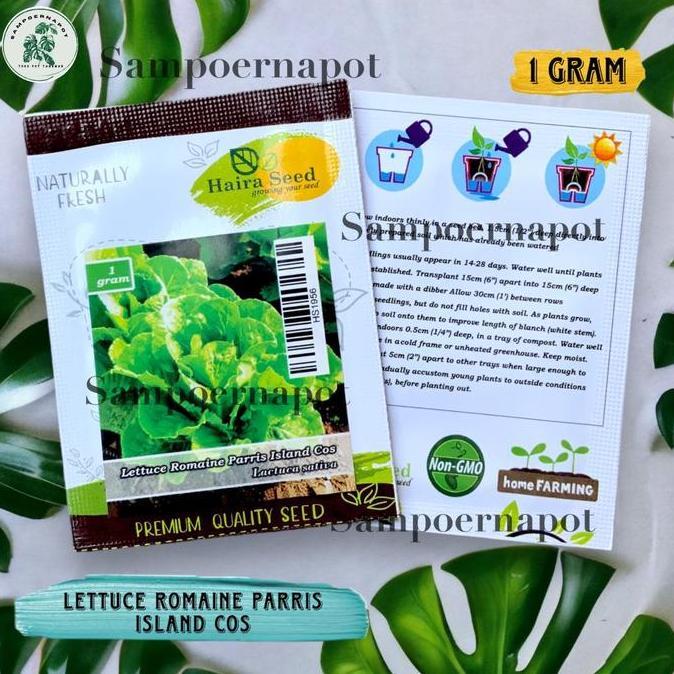 Benih Bibit Selada Green Romaine Parris Island Cos Haira Seed - SELADA