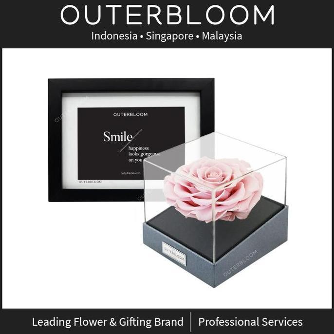 Hadiah Valentine - Astoria Momento - Innocent Pink