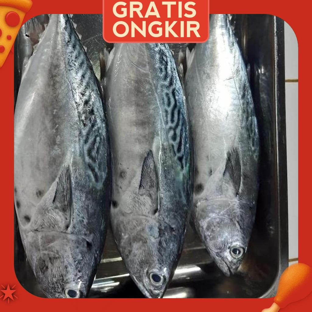 Ikan Tongkol Batik 500