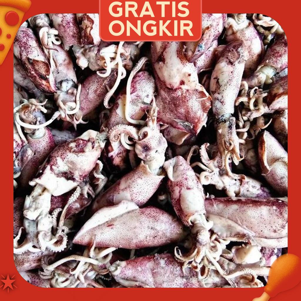 Jual Cumi Asin Bertelur Fresh 500Gram 50% Basah