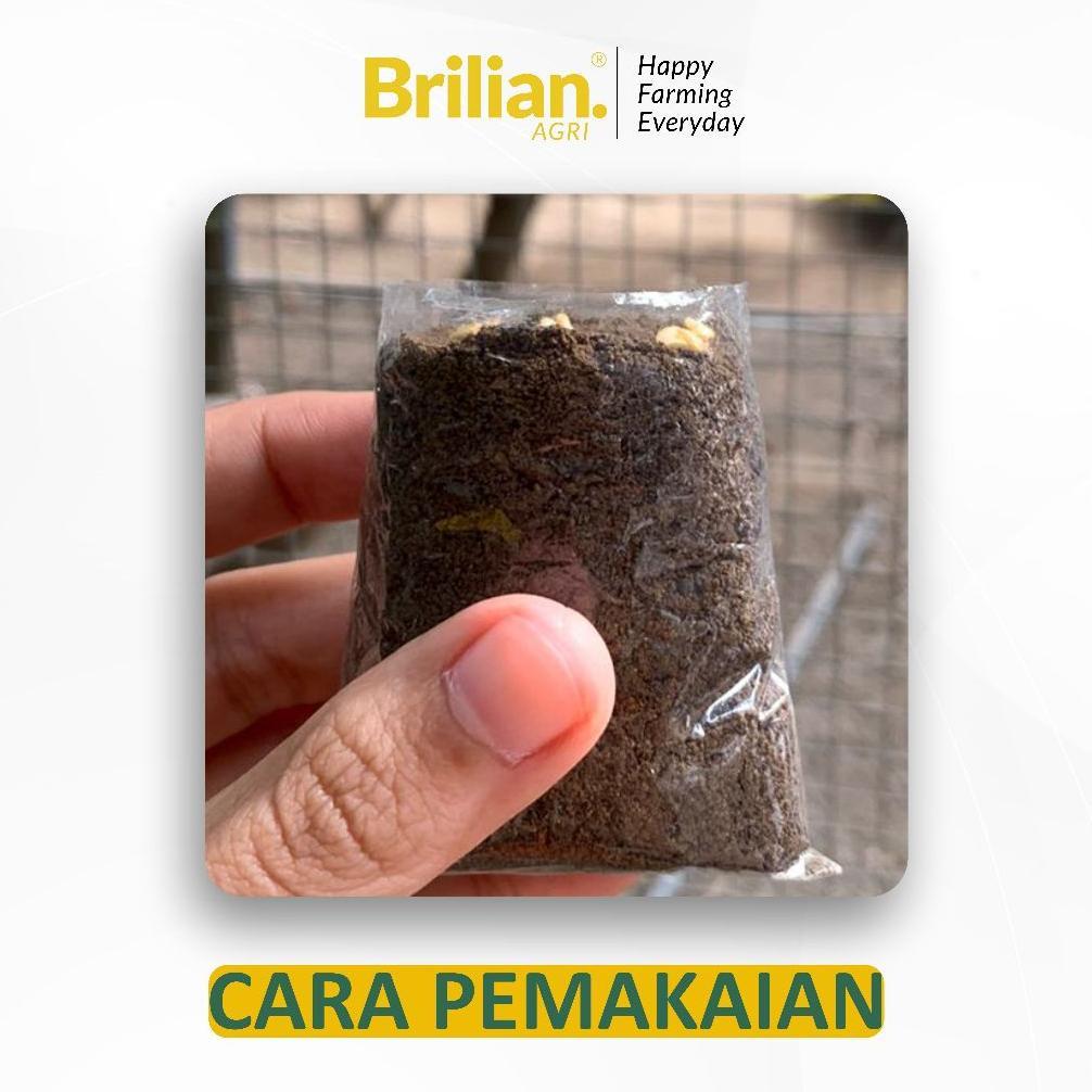 Promo Cod Brilian - 1000 Lembar  Polibag Semai Cabe Polybag Semai Benih Polibag Pembibitan 