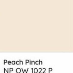 Nippon Paint Weatherbond Peach Pinch Tinting Pail / Weatherbond  Sale