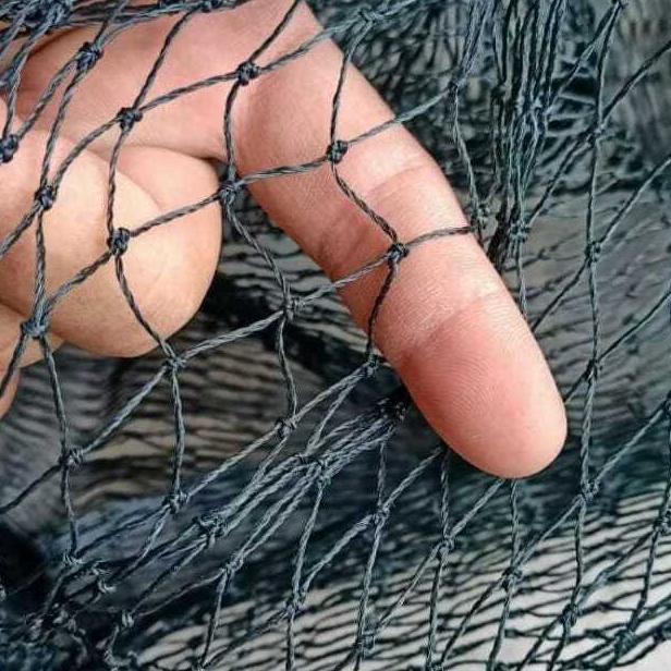 Bisa Cod Cod 1,5 Meter X 10 Meter Lubang 1,5 X 1,5Cm Jaring Pagar Ayam Atau Bebek Hrg 1 Pcs ><