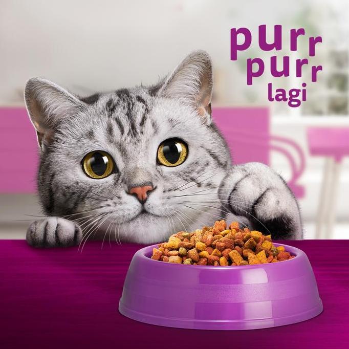 DITAMENSEE - WHISKAS MAKANAN KUCING KERING 48GR - SNACK KUCING MINI