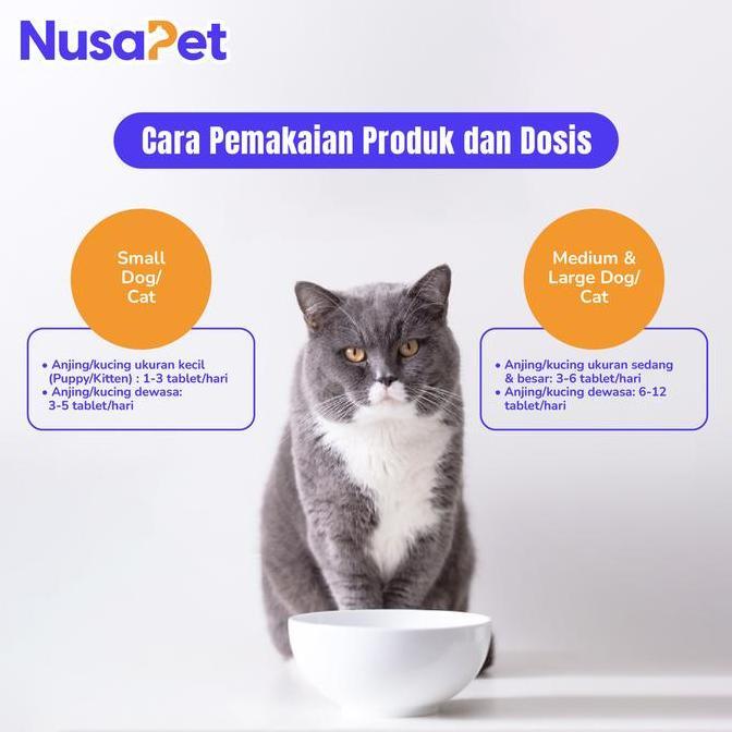 Probiotik Anjing - Probiotik untuk Kucing - Diare Anabul (180 Tablet)