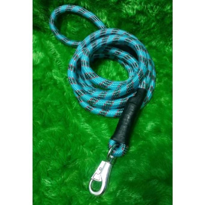 tali anjing Pitbull/tali tuntun anjing besar Promo Premium