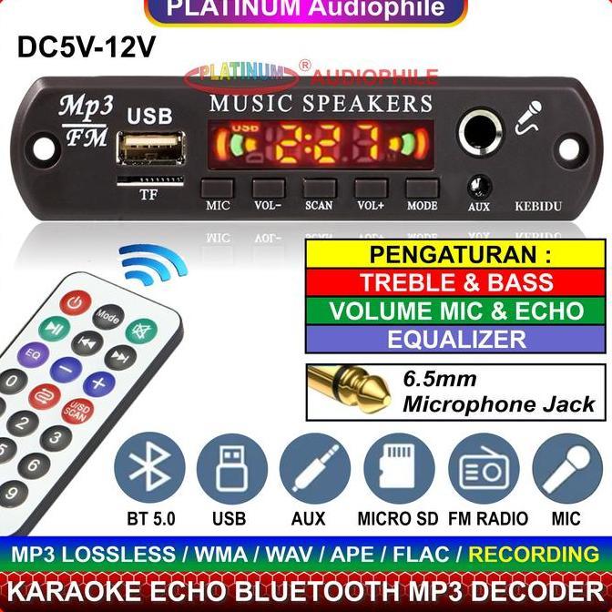 Modul MP3 Decoder Bluetooth 5.1 Karaoke Mic echo Multimedia Speaker 163BT
