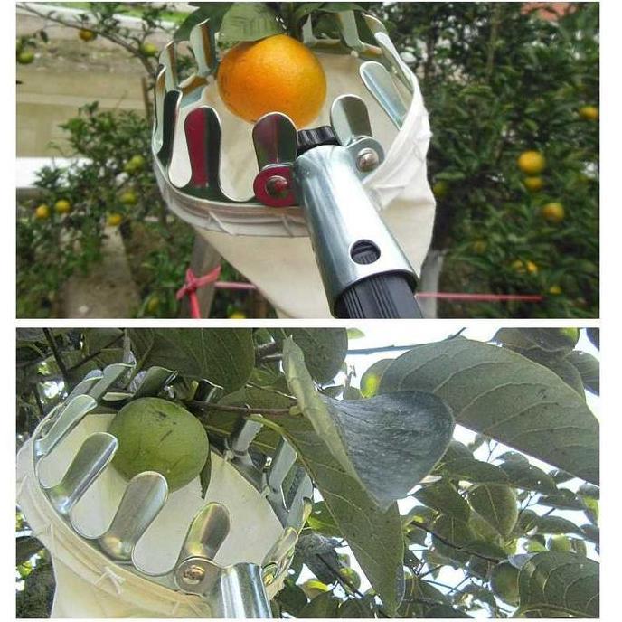 JARING PEMETIK BUAH UJUNG GALAH ALAT BANTU PETIK PANEN MANGGA JAMBU RAMBUTAN FRUIT PICKER