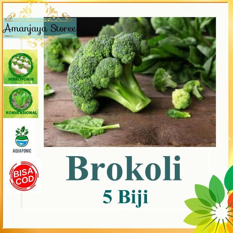 5 Biji Benih Brokoli F1 Hibrida Lucky Bejo /Brokoli Bejo New