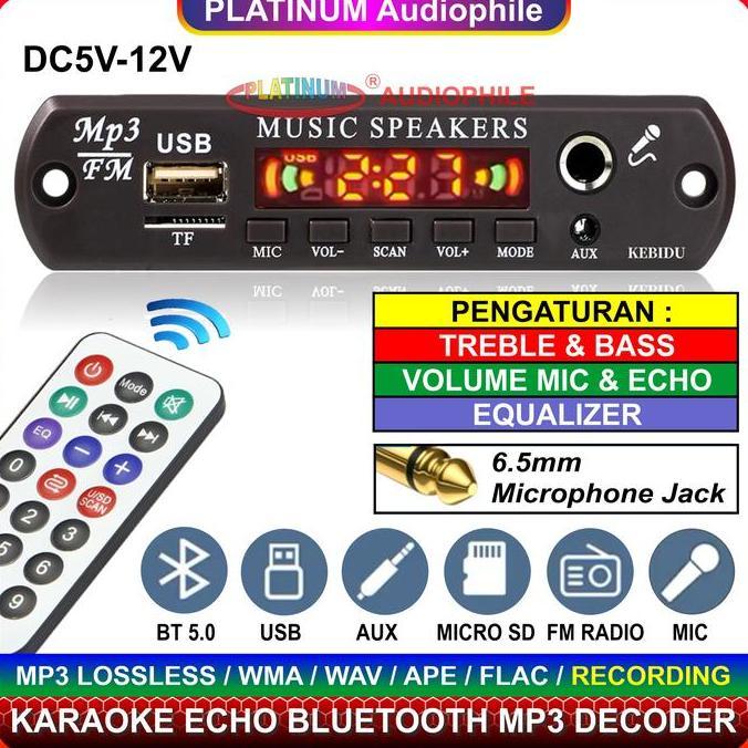 Modul MP3 Decoder Bluetooth 5.1 Karaoke Mic echo Multimedia Speaker 163BT