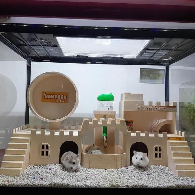 Terarium Kandang Hamster Besar Dan Lucu Mewah Dan Fullset