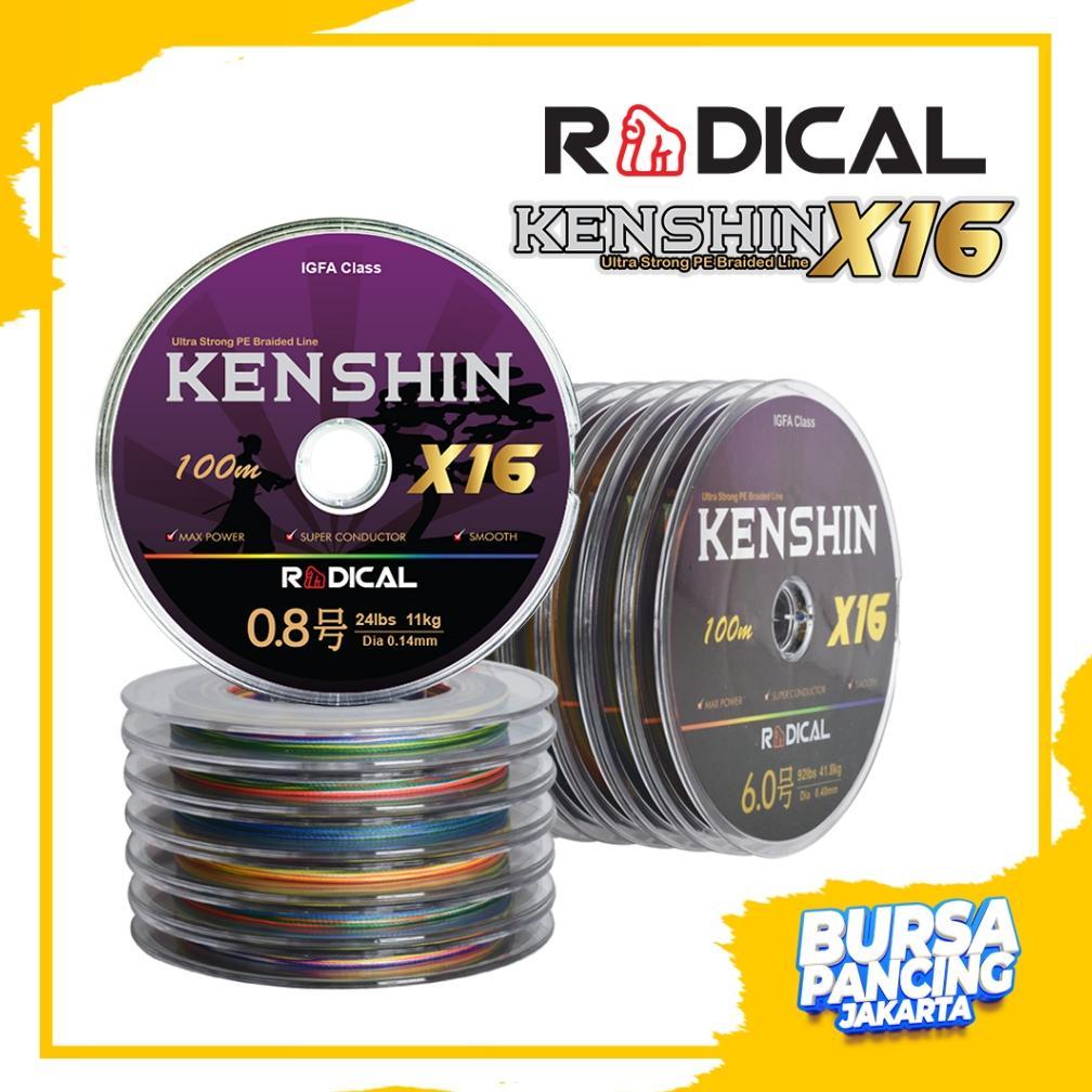 READYGan- Senar PE Connecting RADICAL KENSHIN X16 Multicolor