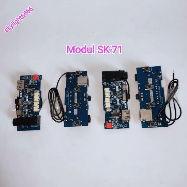 AudioWhell- Modul Speaker Sk-71