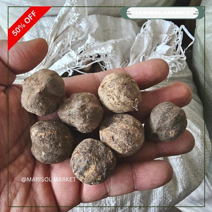 KEMIRI UTUH 1KG MASIH ADA KULIT CANGKANG BEST SELLER