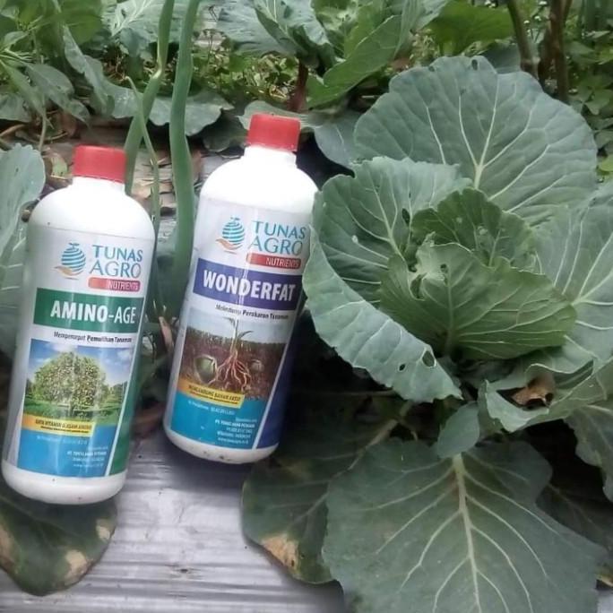 Grdn- Pupuk Organik Wonderfat Tunas Agro Nutrients 1000 Ml