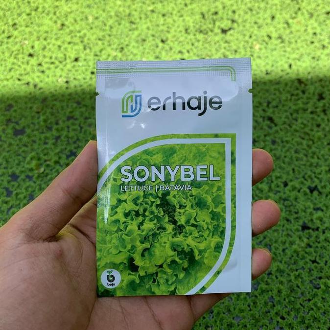 Grdn- Benih Selada Batavia Sonybel Bejo Seed