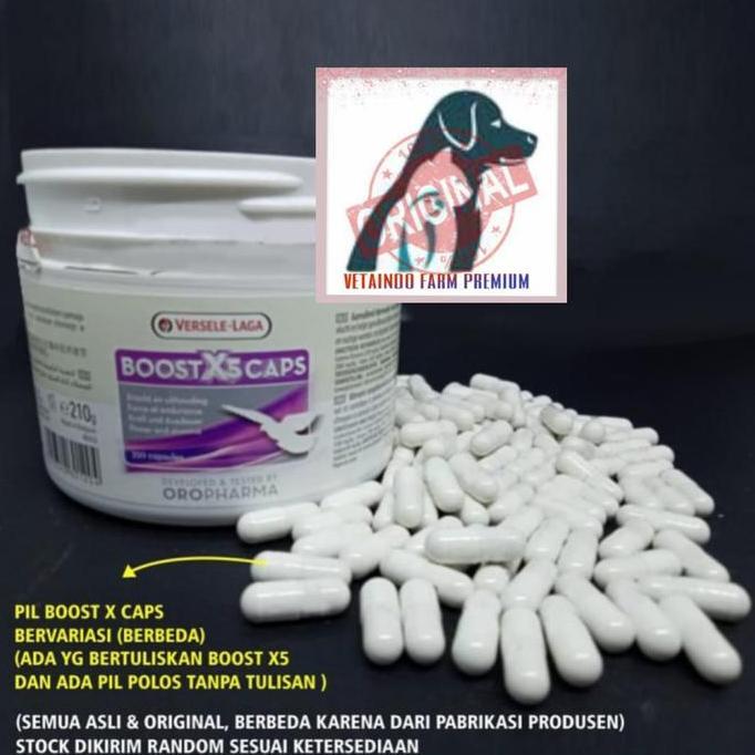 Britis- Boost X5 Caps Versele Laga Vitamin Kapsul Burung Merpati Balap Kolong