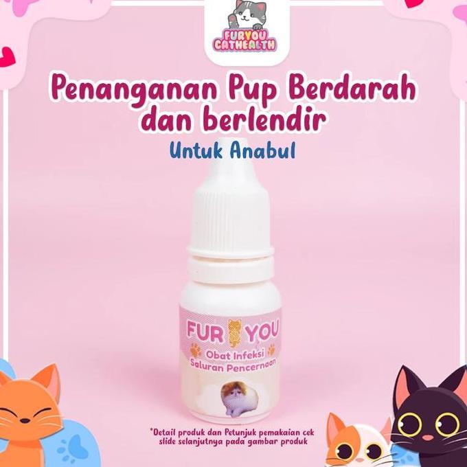 Britis- Fur You Tetes Pup Berdarah Dan Berlendir Kucing