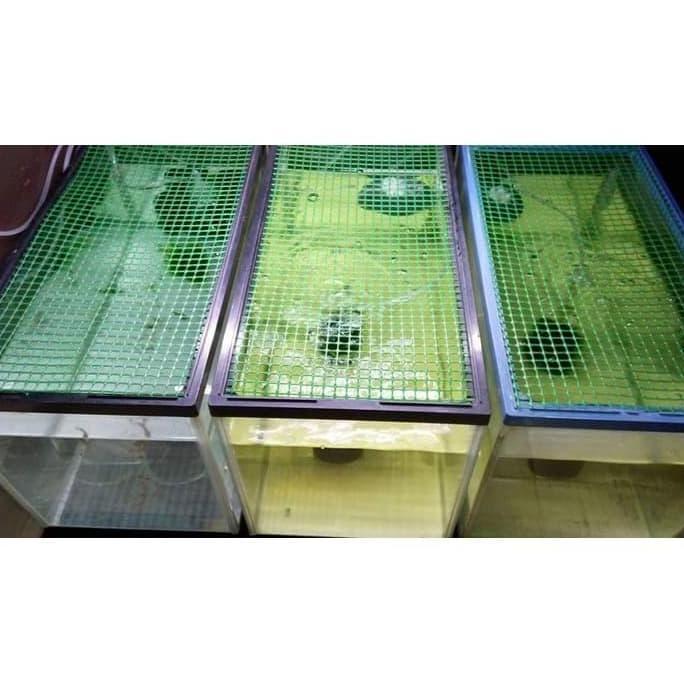 Kawat Mesh Grill Hijau Plastik Pembatas Ikan Sekat Aquarium Promo