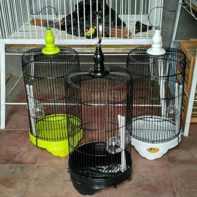 TERLARIS - Kandang burung besi bulat kecil import