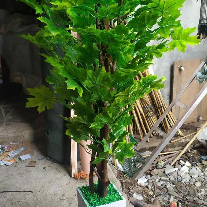 PROMO DISKON - Pohon Maple Kanada Plastik Tinggi 170cm Bahan Import Tebal Pot Kayu Warna Putih Hiasa